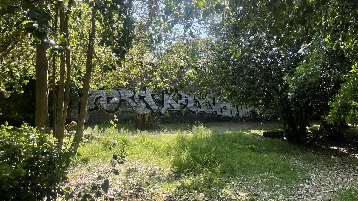 gauravdubs's tweet photo. Vicky park was popping off yesterday. What a vibe, there were so many people around. It was so nice to lay on the grass after the run ☀️😎
(5.9km, 5’23”/km)

#running #runnershigh #solorun #fitness #photography #london #canal #streetart #graffiti #spring #sunnyday #sunshine #calm https://t.co/vTAVRZ2rch