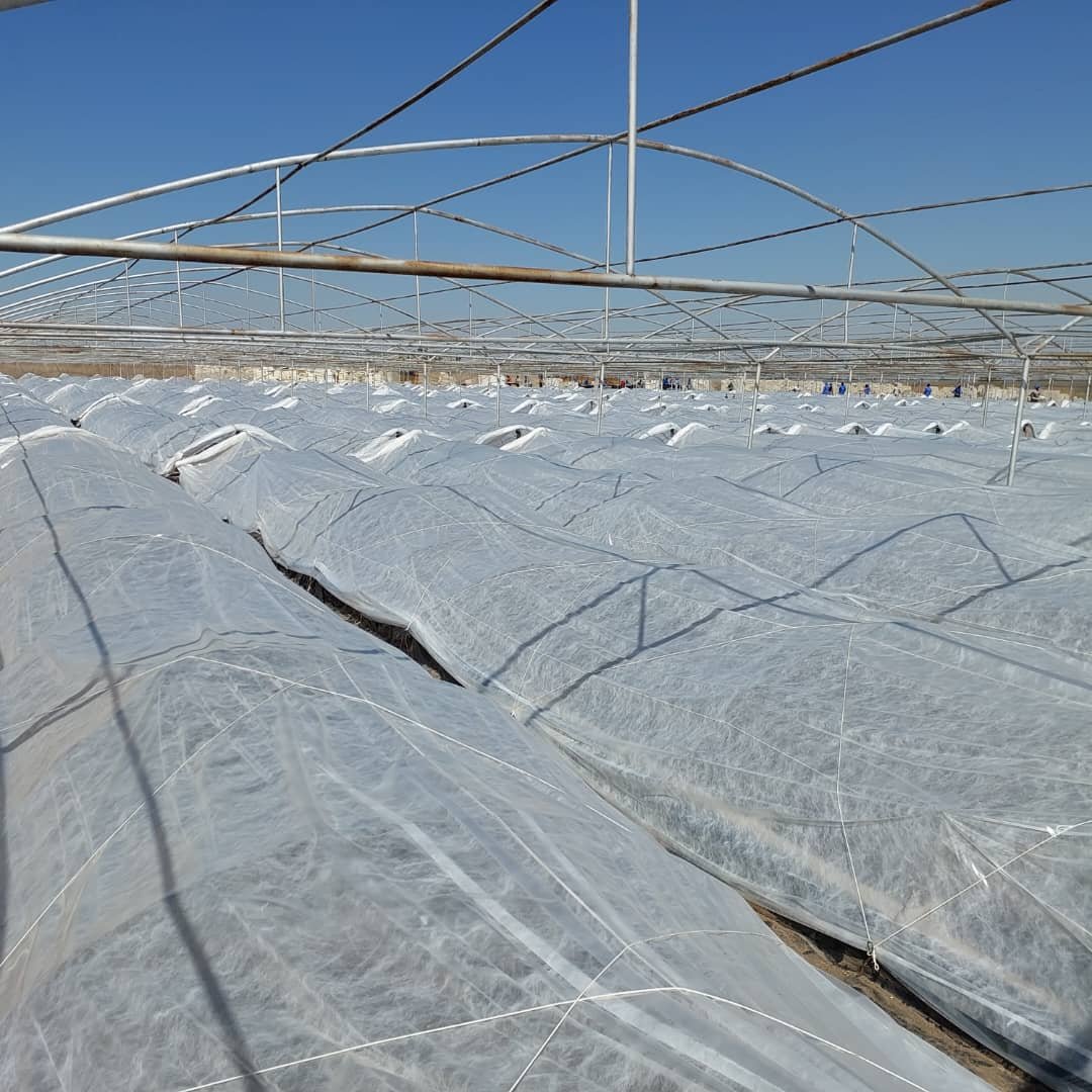 agribusiness1 Wadzanai Manyore on Twitter "RT KutsagaResearch 200ha