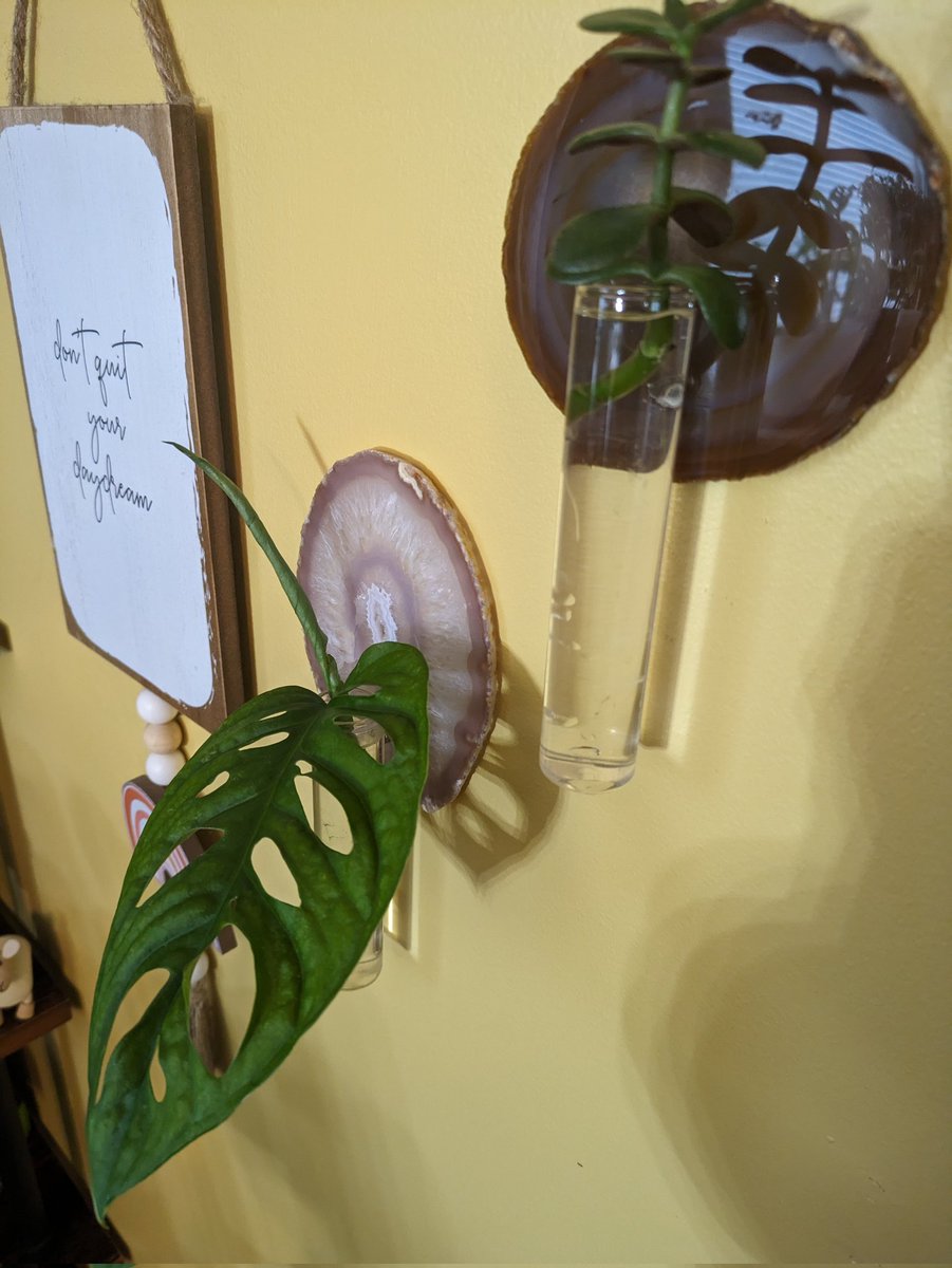 Jess Markey tweet media