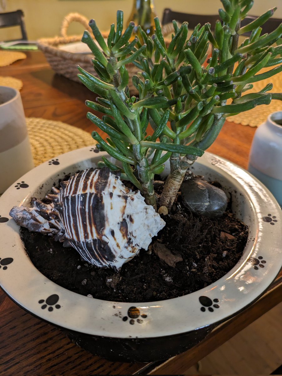 Jess Markey tweet media