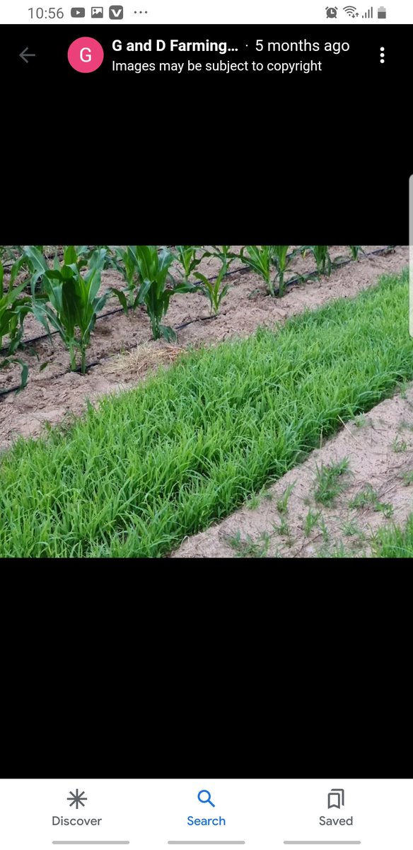 MercyTakanayi's tweet photo. Honoured to have engaged in a conversation with the founder of G&amp;D Farming. One of the leading suppliers of organic foods. Their incorporation of local youths in the projects justifies that the future of this country lies in the hands of the young men and women. https://t.co/aGQTGHC5fZ