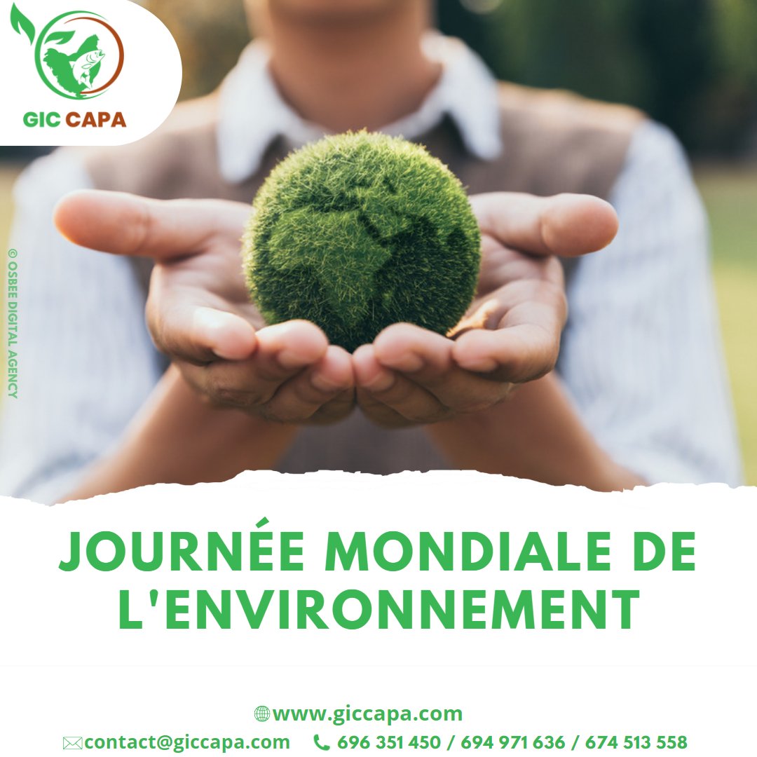 GicCapa's tweet photo. 🌳☘ Journée Mondiale de l'Environnement ☘🌳

L'année 2023 marque le cinquantenaire de la Journée mondiale de l'environnement et met en lumière les solutions à la pollution plastique, sous le slogan "Combattre la pollution plastique"💪.

#journéemondialedelenvironnement #giccapa https://t.co/QDMvK97y6b