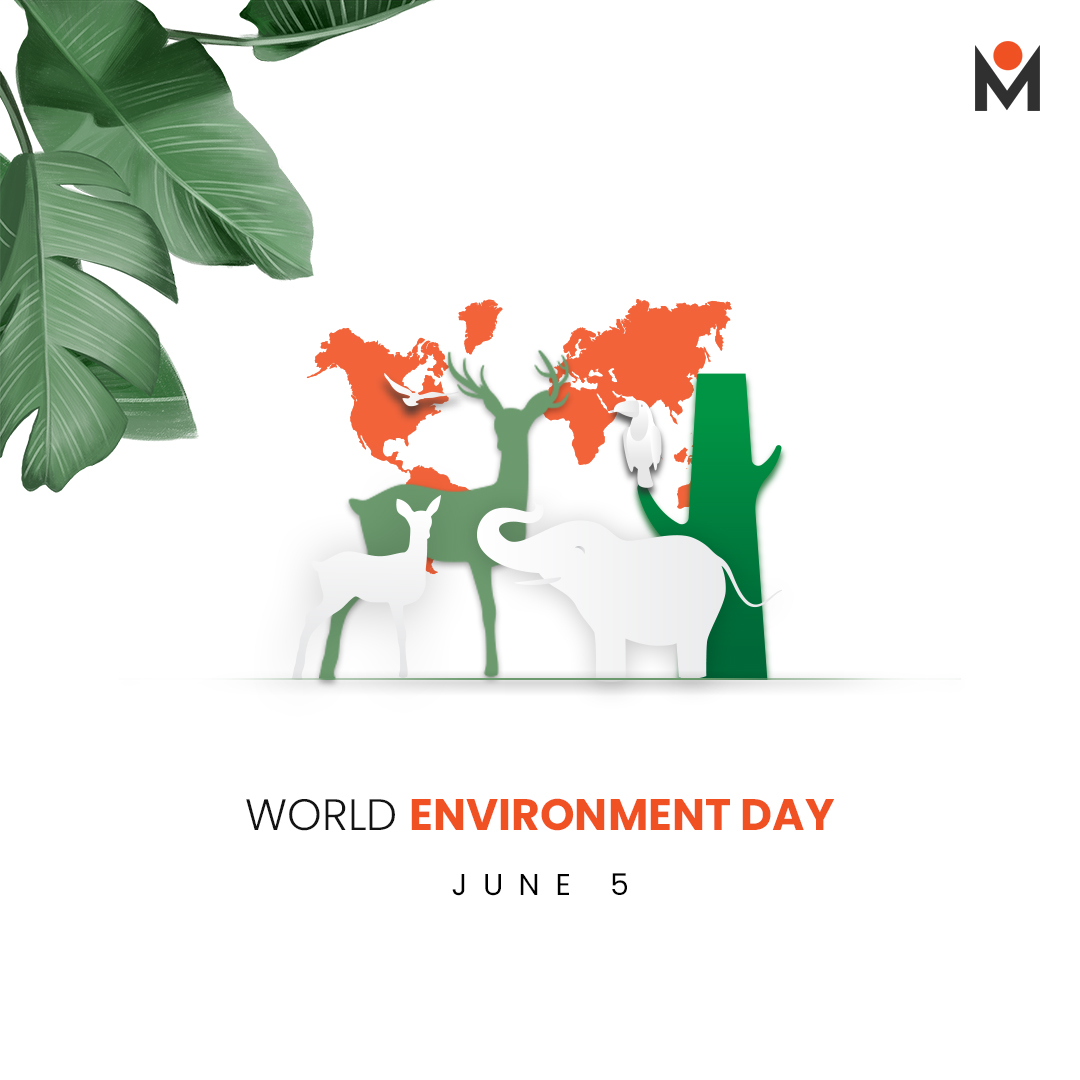 masterinfotech_'s tweet photo. Happy World Environment Day!
At Master Infotech, we believe in preserving and protecting our planet. Let's come together to make a positive impact and nurture the Earth we call home. 

#WorldEnvironmentDay #SustainableLiving #sustainableliving #sustainablefuture #masterinfotech https://t.co/rPsFAp4buG