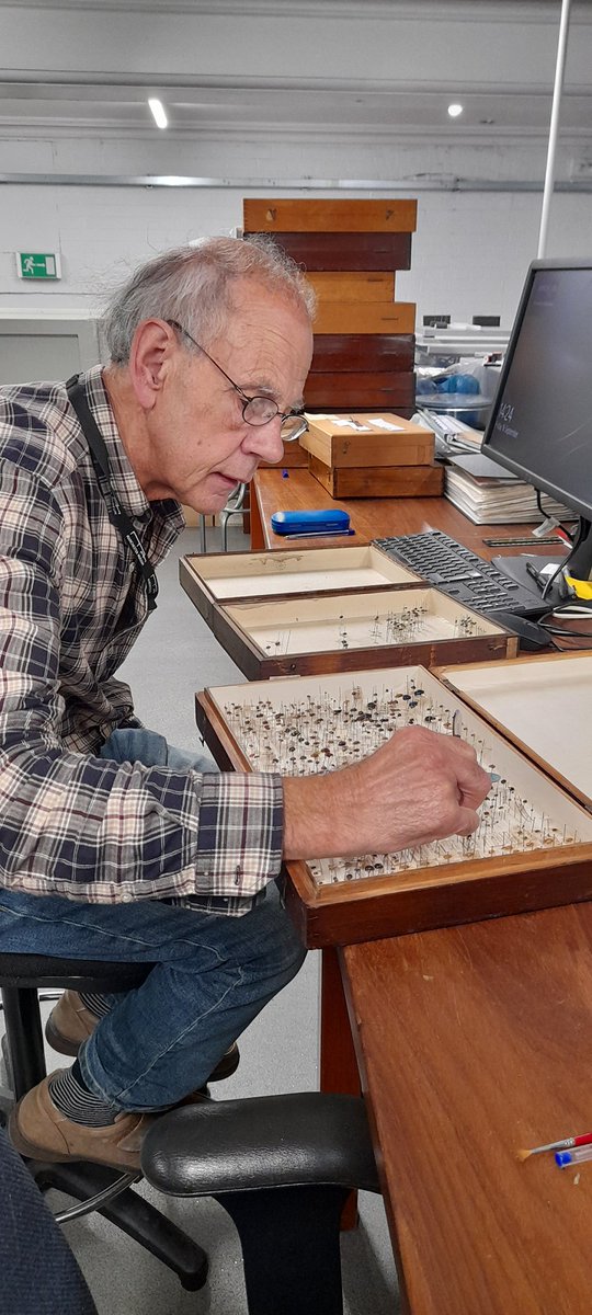 McrMuseum Collection (@museuminsight) on Twitter photo From behind the scenes in Entomology #NationalVolunteerWeek. The support given by all volunteers is helping us to better maintain and keep our entomological collections and increase their
usefulness and value. A huge thank you to all!
entomologymanchester.wordpress.com/2022/12/21/emb…
<a href="/McrMuseum/">Manchester Museum</a> From behind the scenes in Entomology #NationalVolunteerWeek. The support given by all volunteers is helping us to better maintain and keep our entomological collections and increase their
usefulness and value. A huge thank you to all!
entomologymanchester.wordpress.com/2022/12/21/emb…
<a href="/McrMuseum/">Manchester Museum</a>