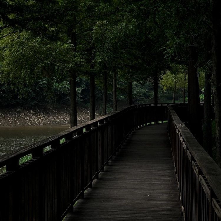violettweets_'s tweet photo. wanna be here. https://t.co/PxAhJcGGYg
