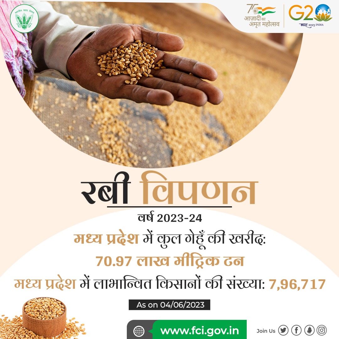 भारत सरकार ने न्यूनतम मूल्य समर्थन प्रणाली के तहत #मध्यप्रदेश के  7,96,717 किसानों से 70.97 लाख मीट्रिक टन गेहूँ ख़रीदा एवं इसका भुगतान सीधे उनके बैंक खातों में दिया गया। #RabiMarketingSeason #Procurement
