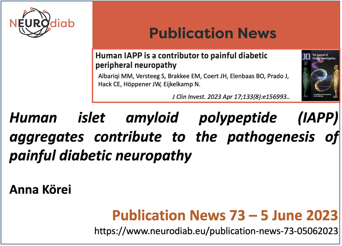 Human islet amyloid polypeptide (IAPP) aggregates contribute to the pathogenesis of painful diabetic neuropathy 
On Neurodiab website a signaling of articles on #diabeticneuropathy 
The 73rd NEUROdiab Publication News is by Anna Körei  (neurodiab.eu/publication-ne…)
📷