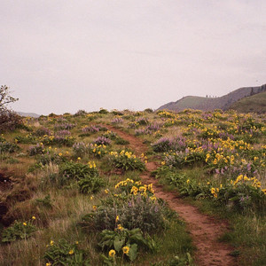 AUDIO: <a href="/RahnHarper/">RahnHarper</a> - "Same Old Story": breakingandentering.net/2023/06/05/aud…