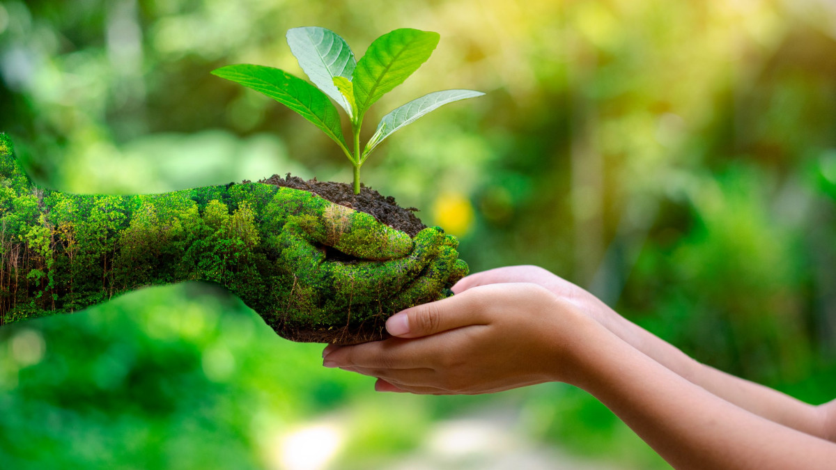 BursarIndia's tweet photo. Let’s give our generation a healthy and green environment. Happy World Environment Day 🌿🌏

#worldenvironmentday #environment #environmentday #earth #world #india #saveearth #ecofriendly #savetheplanet #bursarindia https://t.co/WnR2SJm077