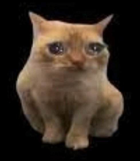 Me, remembering a compliment I got a few weeks ago at almost 6 am https://t.co/gPv0G1j1Fy<a href="/tag/balloon"class="tags"><span>#balloon</span></a><a href="/tag/inflation"class="tags"><span>#inflation</span></a>