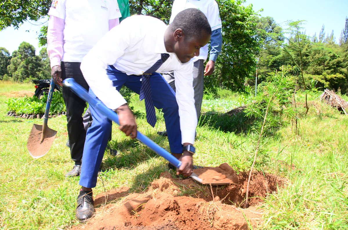 GREEN WORLD YOUTH tweet media