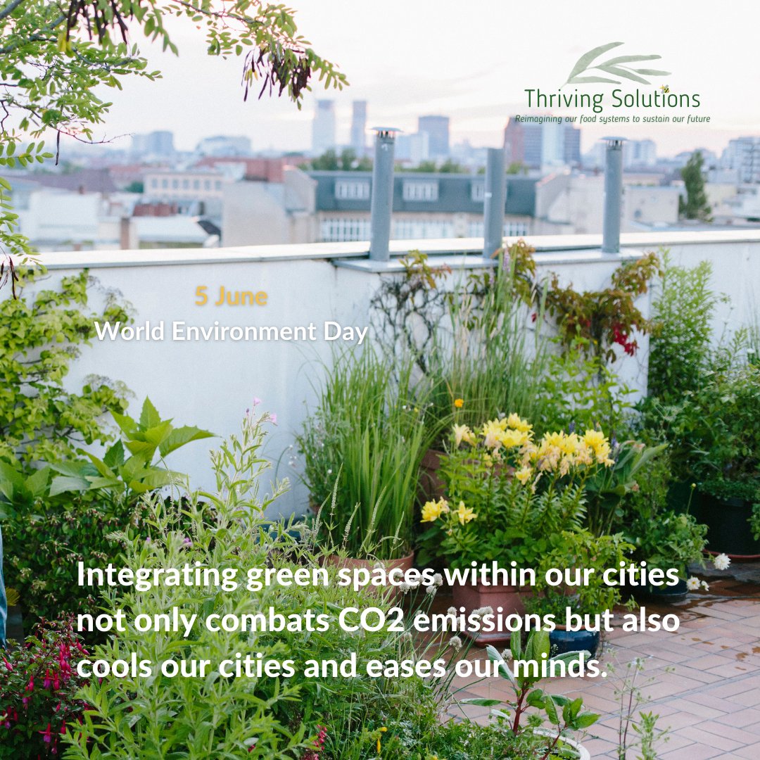 Thriving Solutions is dedicated to decarbonizing our economy, safeguarding biodiversity, advancing food-nutrition-water security.
#OnlyOneEarth #ActNow #NetZero United Nations UN Environment Programme