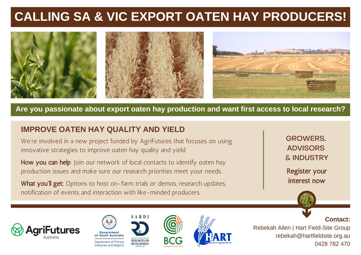 HartFieldDay's tweet photo. SA EXPORT OATEN HAY PRODUCERS! ๐ ๐ We have a new @AgriFuturesAU project in collaboration with SARDI and @BCG_Birchip ๐ฑ Join our local network by contacting our R&E Manager Bek! We'd love to hear from you ๐ https://t.co/0Sn7oLE9ti