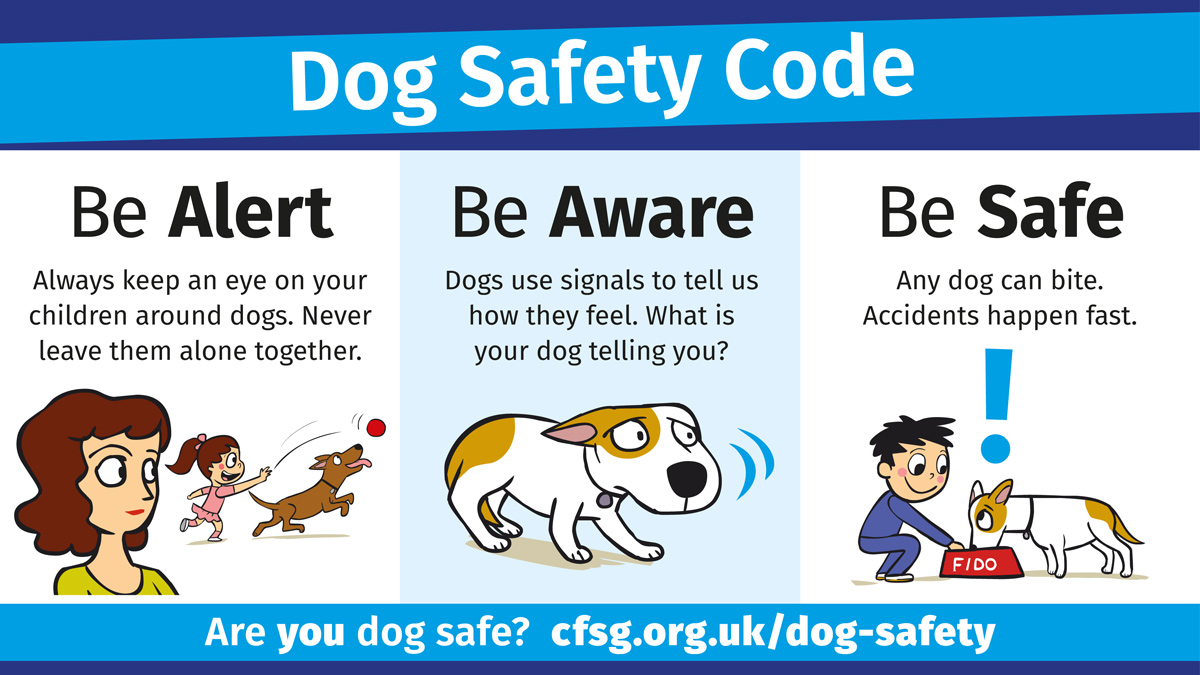 BritishVets's tweet photo. It's #ChildSafetyWeek - the perfect time to check you & your children are #DogSafe.
Awareness of how dogs use body language to show their feelings can help keep children & pets safe. See #DogSafety Code & resources from vet & animal welfare charities 👉 https://t.co/p5Fk9IKv4O https://t.co/mY9O3vDWkI
