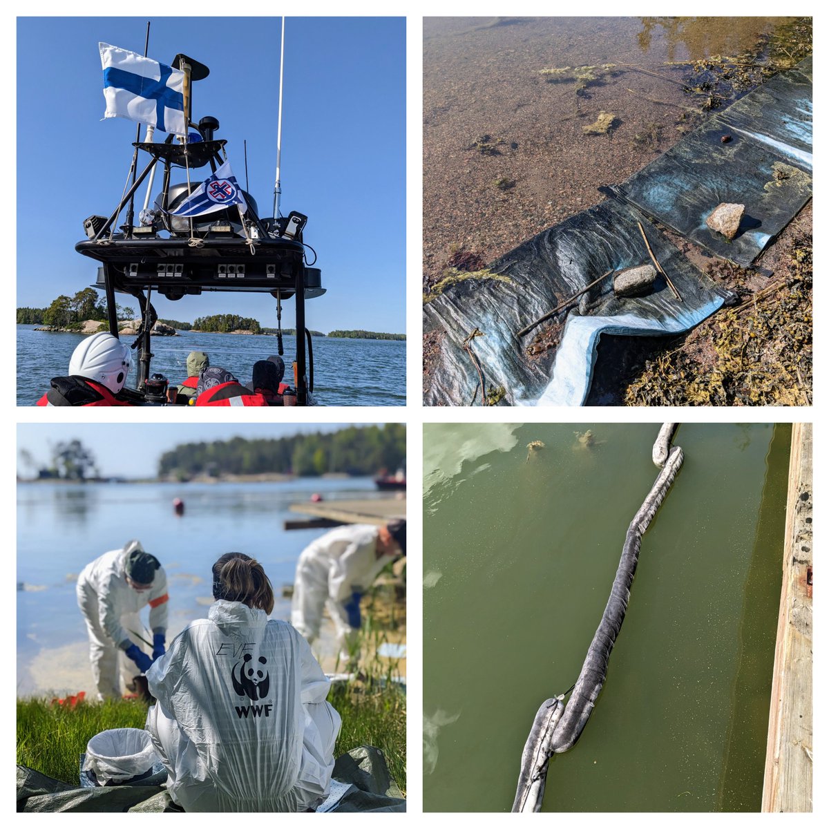 Toimistopäivä muuttui maastopäiväksi, tehtävänä öljyisen rantaviivan puhdistaminen loistavan vapaaehtoisporukan kanssa. Liity sinäkin @WWFSuomi  öljyntorjuntajoukkoihin 🌊
#öljyntorjunta
#Itämeri
@IUPELA
@sarporvoo