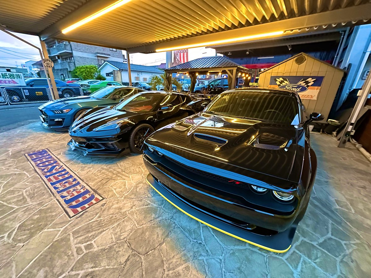 PROSPEED___USA's tweet photo. https://t.co/QQGI94GOsi