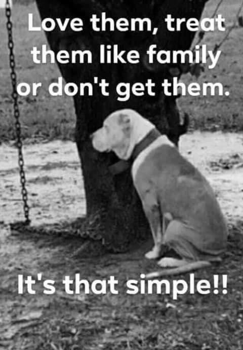 Very true ❤️
#dogs #DogsofTwittter #Cats_dogs_kit #DogsOnTwitter #puppylove #puppies