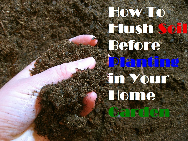 farmhydroponics's tweet photo. How Long does it Take to Flush Soil?

https://t.co/vX2CDKEenT https://t.co/1OSgu0ZuaA