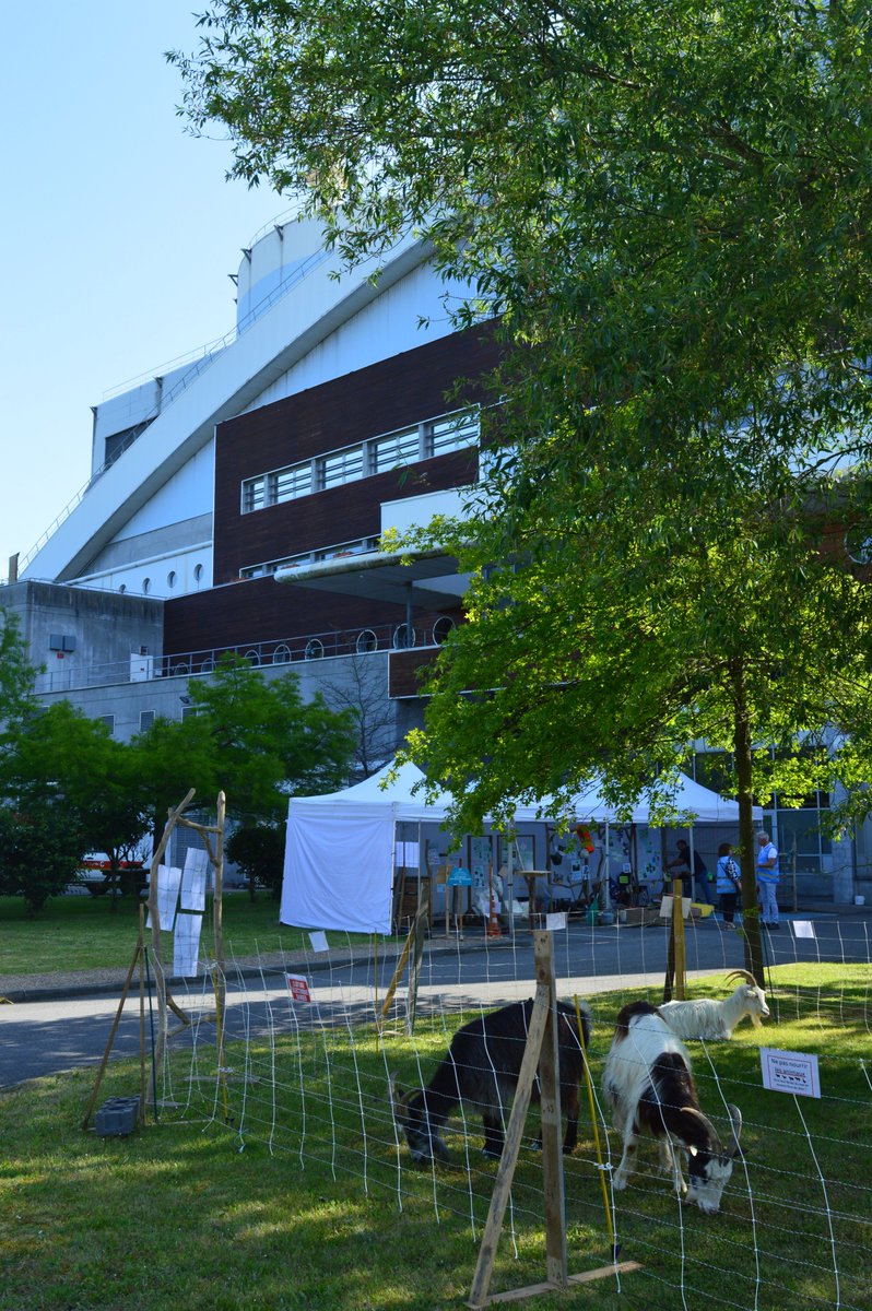 Le_SEVEDE tweet media