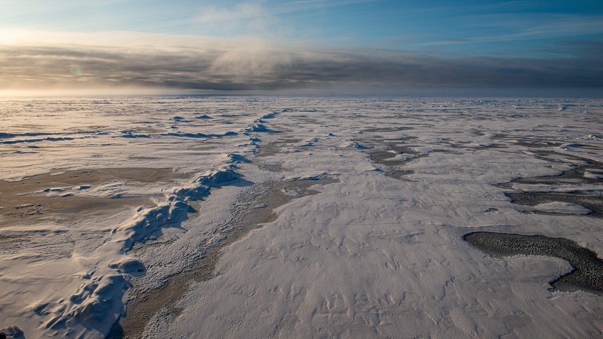 Nansensenteret's tweet photo. 🧊Tracking multi-year ice is now possible with our sea-ice model #neXtSIM! Want to know more? 
👉https://t.co/4uC2Vl4Nzf
📸 Espen Storheim / NERSC
@BjerknesBCCR https://t.co/PW7GZnaKXw