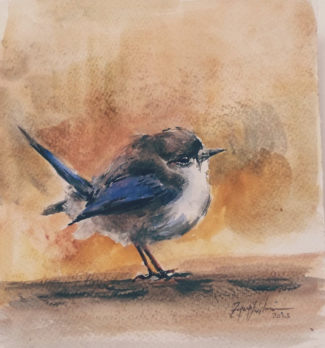 Kuşta hüzünlenir..

Suluboya kuş ..
Watercolor