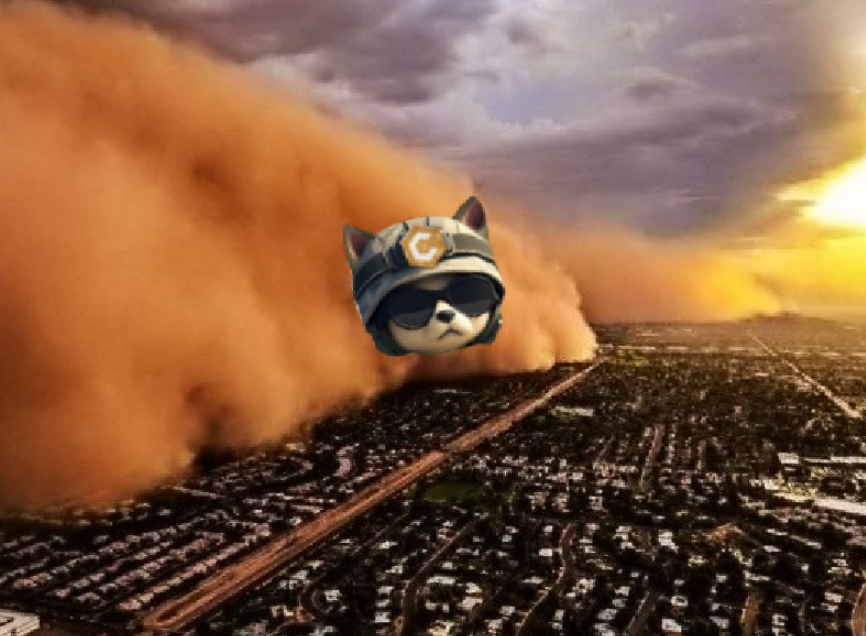 MVL_badger's tweet photo. Sandstorm #CoreDoge https://t.co/cUYAFHrHNu