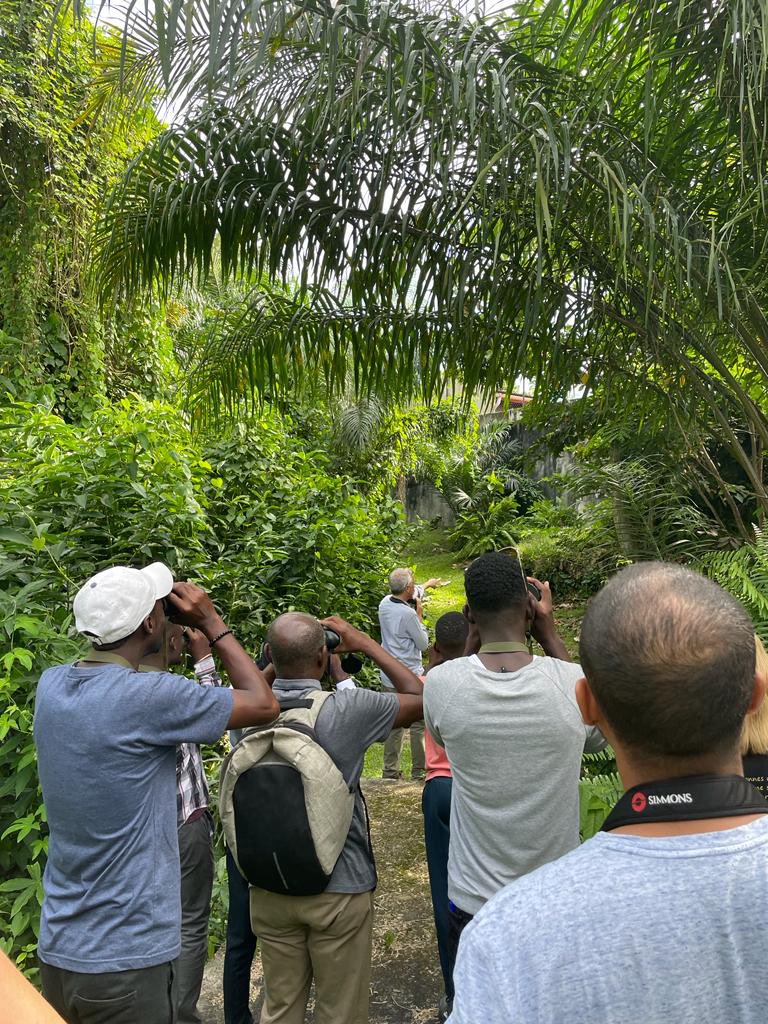 Franceaugabon's tweet photo. 🇫🇷🇬🇦 #NuitdesIdées2023 #Gabon
Plus d'une quinzaine de participants pour notre sortie #ornithologie 🦜
🌳🐦⬛Avec plus de 788 espèces répertoriées au Gabon, nous sommes partis à la chasse #sonore et #visuelle des oiseaux qui vivent parmi nous. https://t.co/8HSAElUJwv