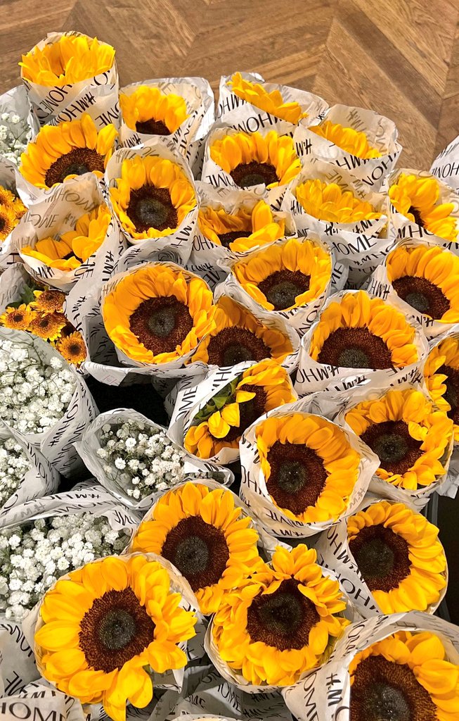 sunflowerchives's tweet photo. embracing sunflower's cheerful charm🌻 https://t.co/IGBM30Xebo