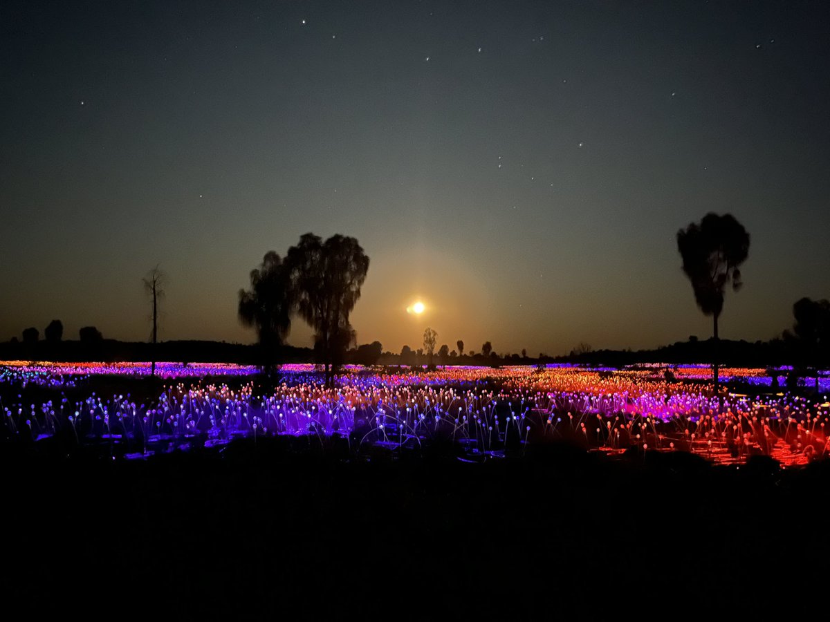 jens_goennemann's tweet photo. My fav shot of the day: Field of Light installation in front of Uluṟu with the raising moon 🌝 in the background. Tomorrow heading to Alice Springs meeting my first NT manufacturer Airtip #JensOnTheRoad #AMGC #Airtip #manufacturing #FieldOfLight #Territory #NT #SailsInTheDesert https://t.co/h66JSv94gy
