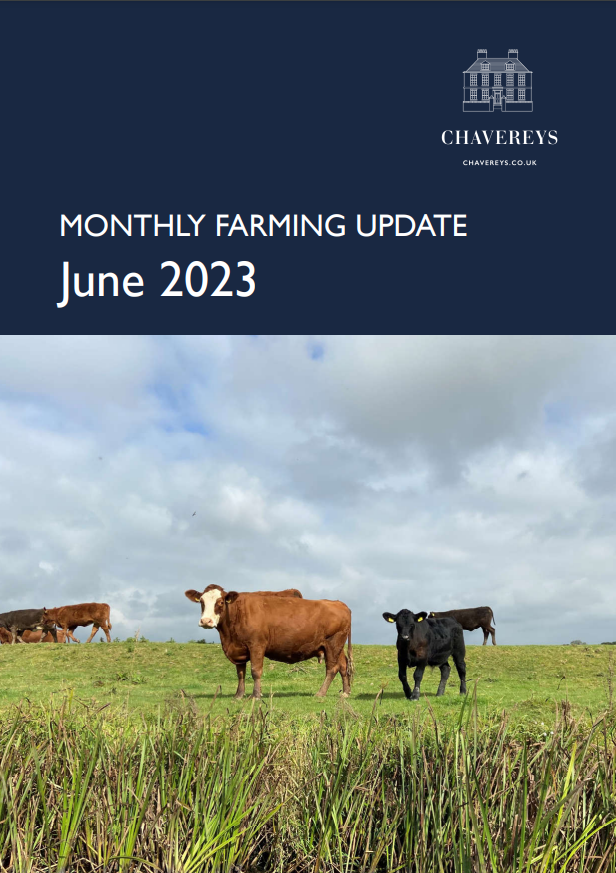 Chavereys tweet media