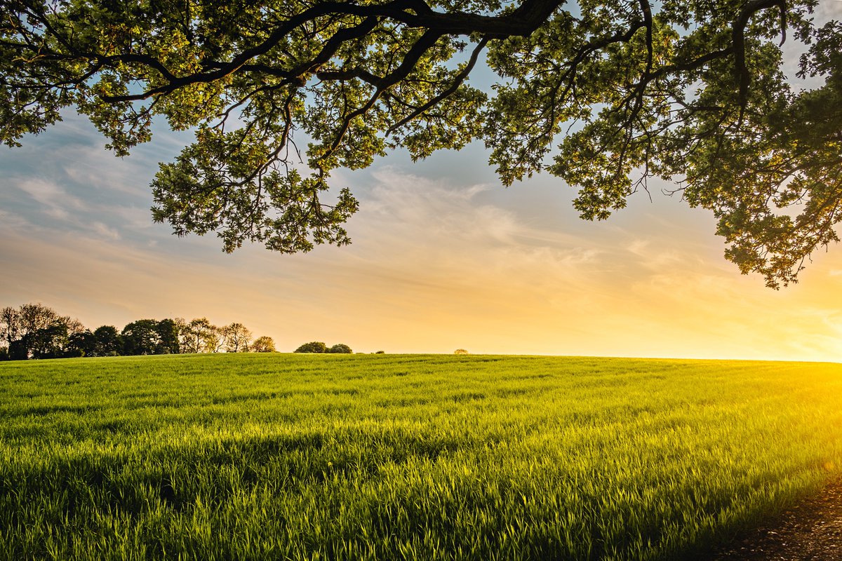 How to scale up early-stage and market-ready #BlendedFinance solutions?

The Catalytic Climate Finance Facility @ClimateFacility launched an open call for ideas.

Apply by 📅 9 June
👉ggkp.org/ZY9