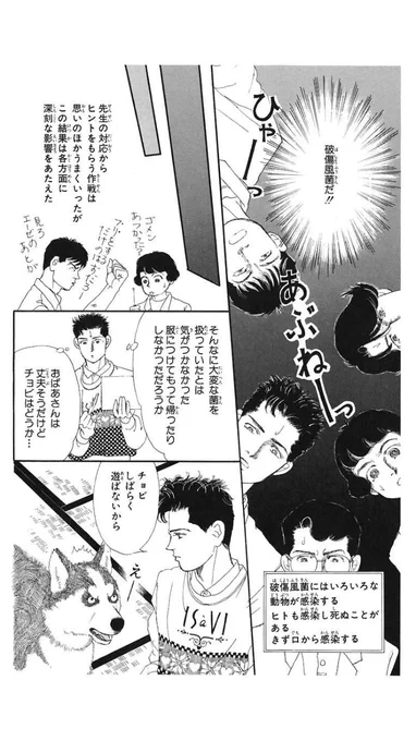 一昔前でしっかりこの認識よ 