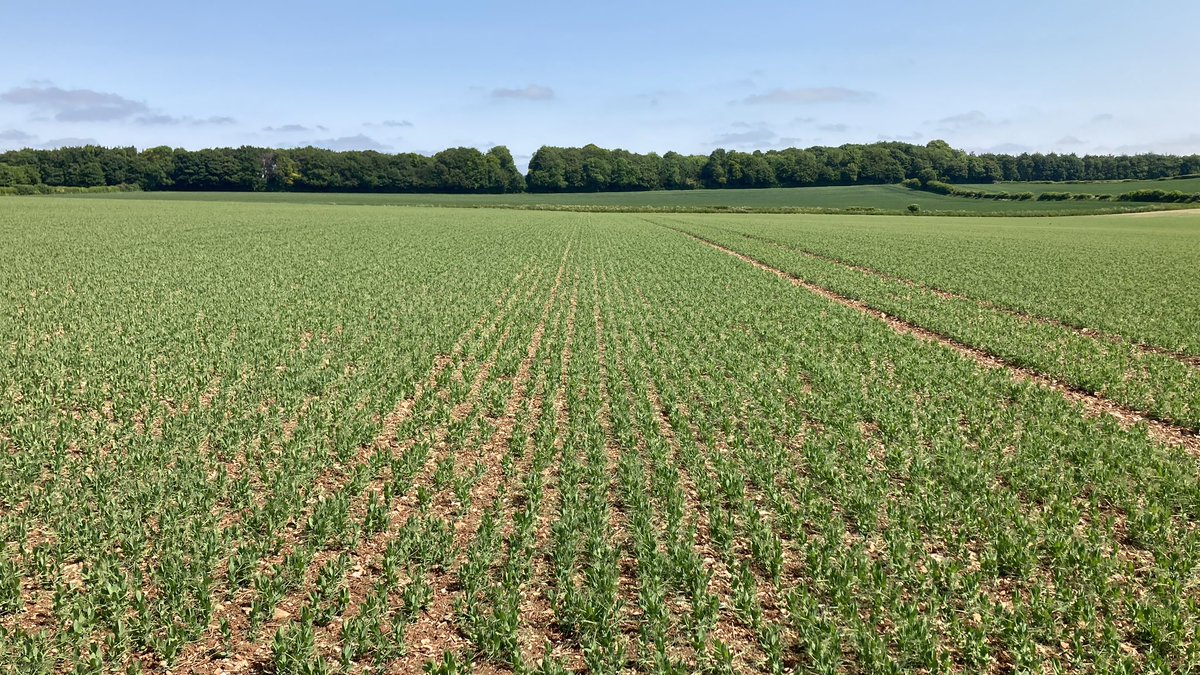 Andy Meecham tweet media