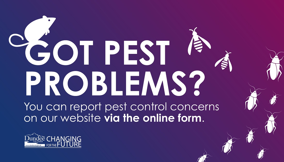 Our team of Pest Control Officers have a wide experience in delivering a full range of pest proofing and pest control treatments. Did you know that you can report pest control concerns online? All you have to do is complete this online form bit.ly/3pa7oe6