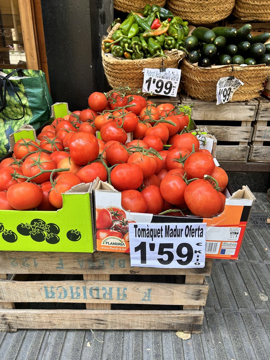 MikeRic42633095's tweet photo. Here in Barcelona a kilo of tomatoes is €1.59, ie £1.38. In Tescos the same thing is £4.44. Of course, food inflation is the same all over Europe and it’s nothing to do with Brexshit. https://t.co/zjDvKnW0cq