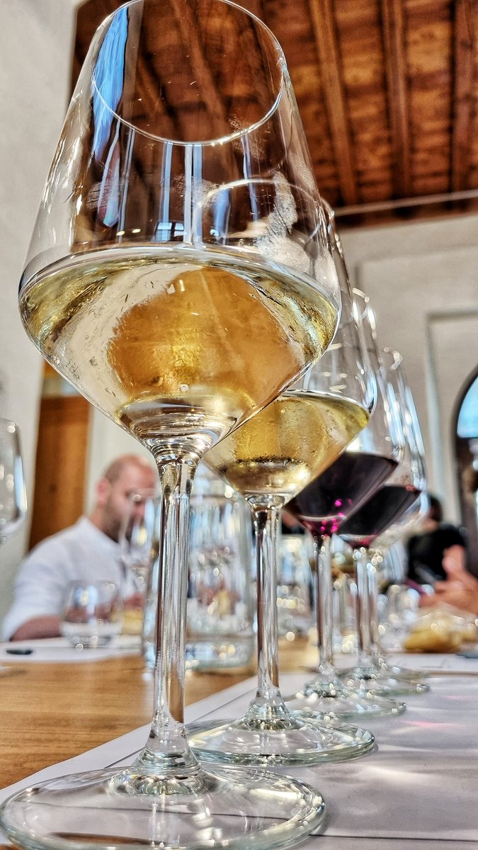 girovagate's tweet photo. Buon inizio settimana girovaghi!
Il weekend passato siamo stati a Trento per l'assembla di @travelbloggerit e una completa immersione nel pianeta 🍷 vini e grappe del Trentino!

Qui eravamo alla degustazione a Palazzo Roccabruna
#AITBTrento
#collab https://t.co/w580pwFsaW