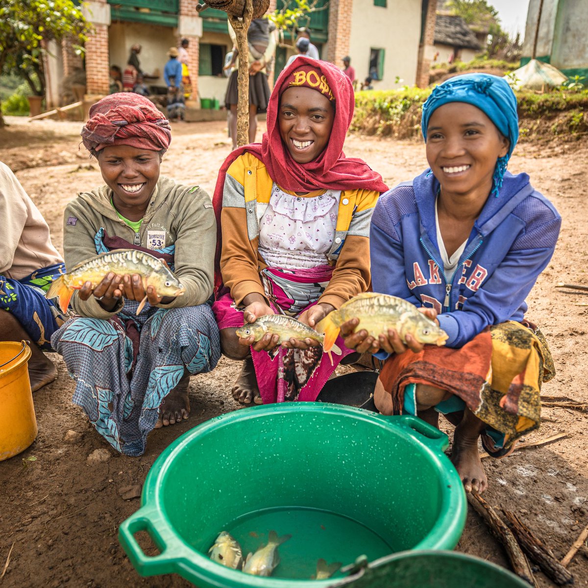 Feedback Madagascar tweet media