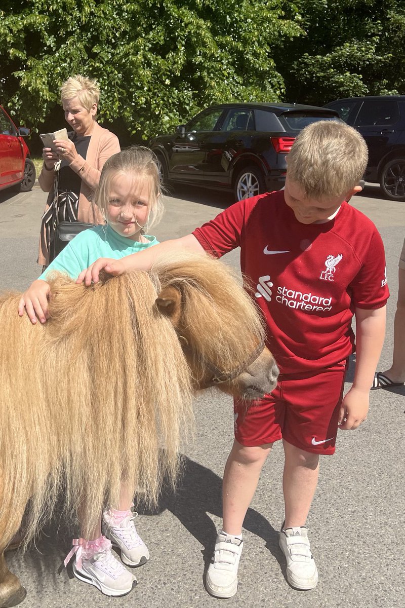 ClaireWoods81's tweet photo. Finley year 3 and Freya year 2 estimating how tall ponies are #reallifemaths @halewoodcofe @loubie_m https://t.co/2GsTpuvnBU