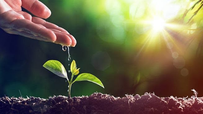 Protege la casa de todos, cuida la Vida.

#FidelPorSiempre | "El intercambio desigual, el proteccionismo y la deuda externa agreden la ecología y propician la destrucción del medio ambiente".

#DiaMundialDelMedioAmbiente 🌱