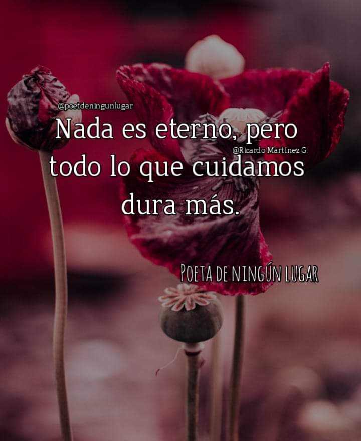 Tempranito por aquí para dejarles cariños🥰 y las mejores energías ✨️ para esta nueva semana.💖
¡¡Buenos días 
       Mundo Twitter!!