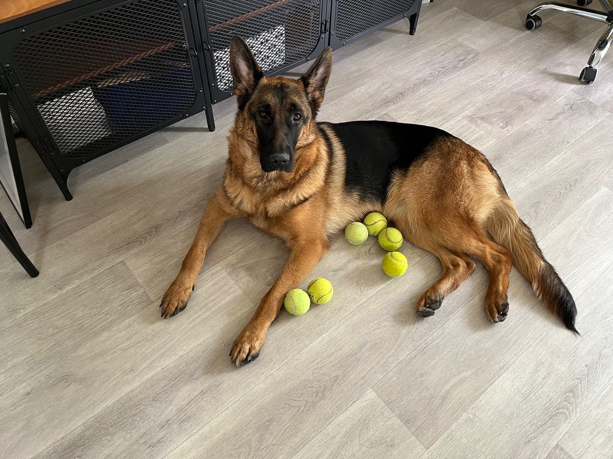 Marek Čevelíček tweet media