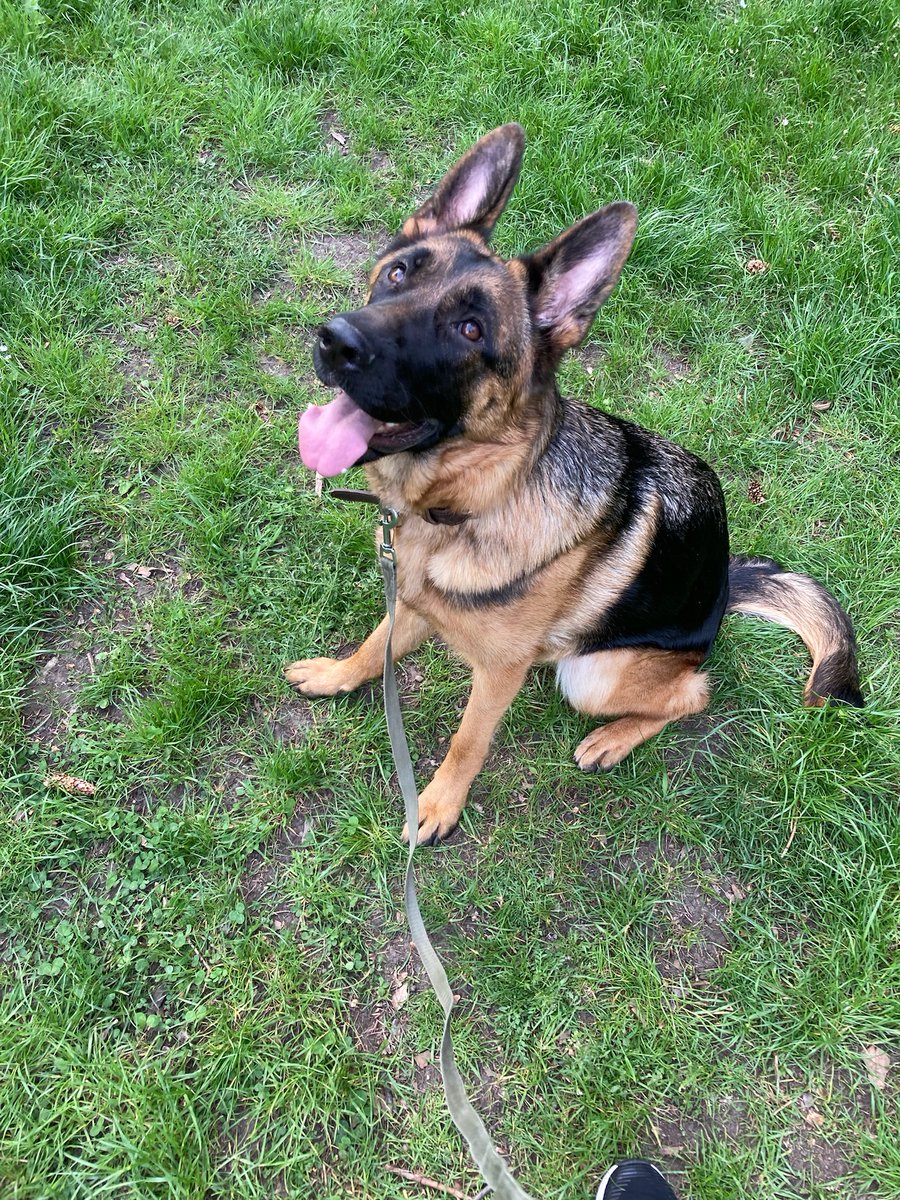 Marek Čevelíček tweet media