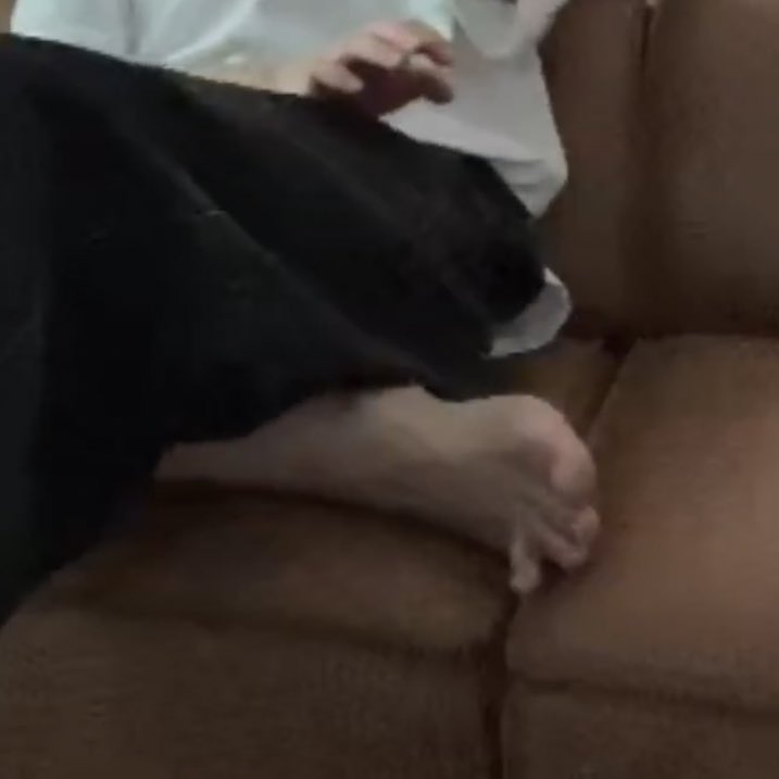 koo feets (@koofeets) on Twitter photo 