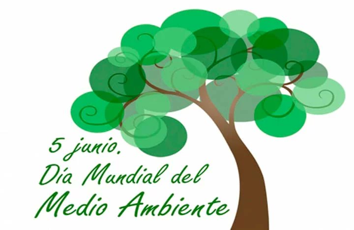 SICYCinformatic's tweet photo. Hoy celebramos el Día Mundial del Medio Ambiente y por eso, en SICYC Informática trabajamos con marcas centradas en el medio ambiente y productos con embalaje neutro.
Recordad también que gestionamos ordenadores, telefonía y accesorios electrónicos para su correcto reciclaje. https://t.co/BQdoqKKNk7
