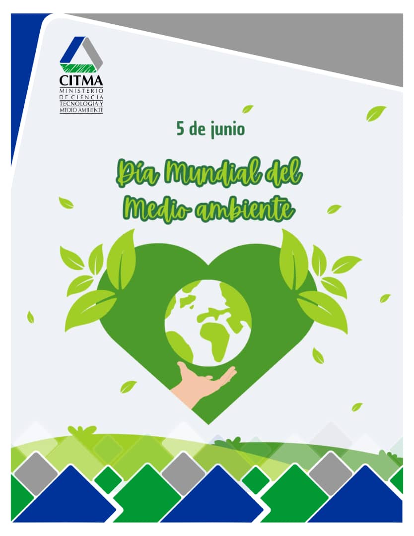 Elba Rosa tweet media