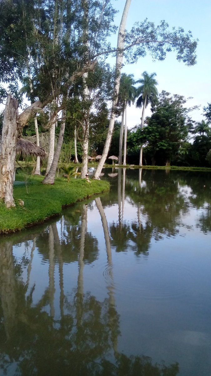 Elba Rosa tweet media