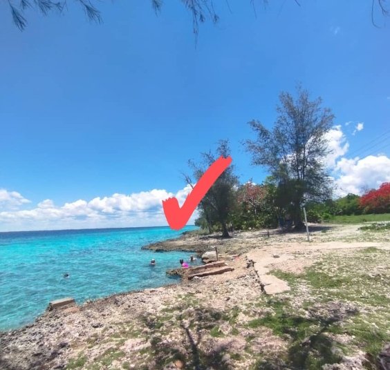 #Felicidades🇨🇺 Llegamos al #5DeJunio2023 defendiendo el derecho a un Medio Ambiente sano y equilibrado, una moderna Ley del Sistema de los RNy MA,metadatos de los indicadores de ODS vinculados al tema,la Red Cubana de Economía Circular, I Fundación Climática y II Etapa de #TaVi.