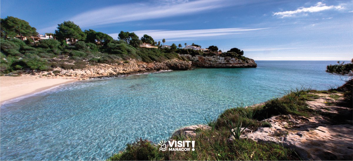 Visit Manacor tweet media