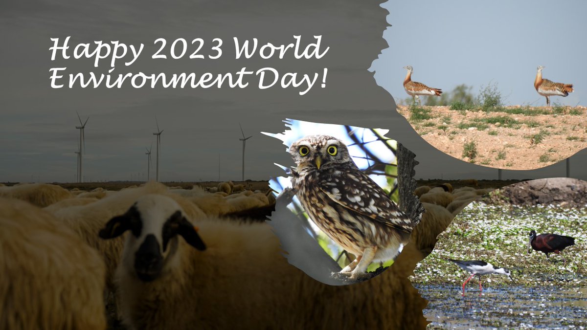 CTG_Europe's tweet photo. On the occasion of 2023 World Environment Day, the QHSE team of @CTG_Europe organised an engaging webinar on the environmental initiatives taken at our power plants. ☀️ https://t.co/2R7lFJeo2y