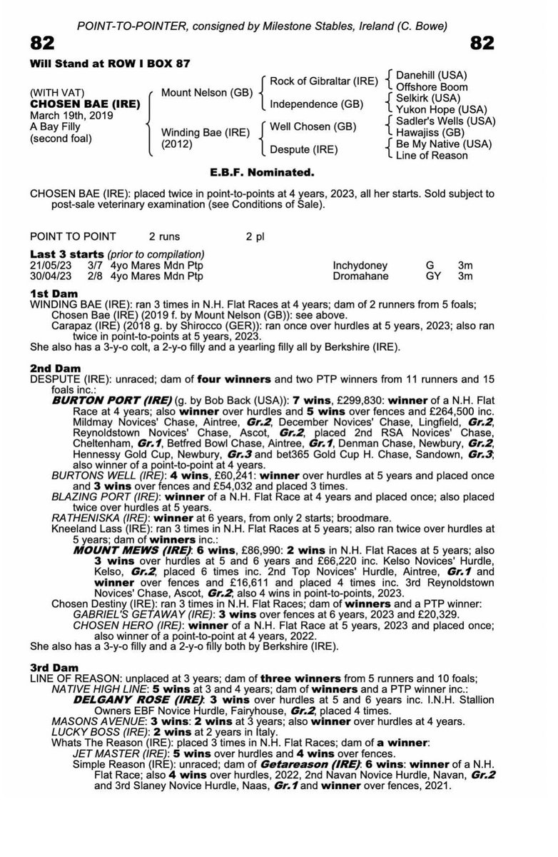 colinboweracing's tweet photo. @tattsascot  Lot 82 ‘Chosen Bae’ a well bred 4 year old filly, placed on both starts and a winner in waiting #winnrrs #milestonestables https://t.co/A7GFaa3iO1